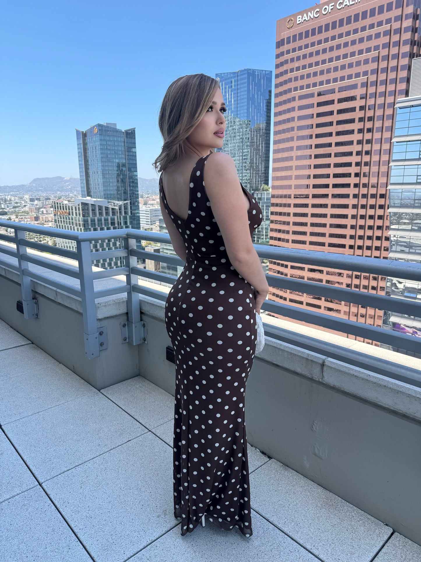 Brownie Dot Dress